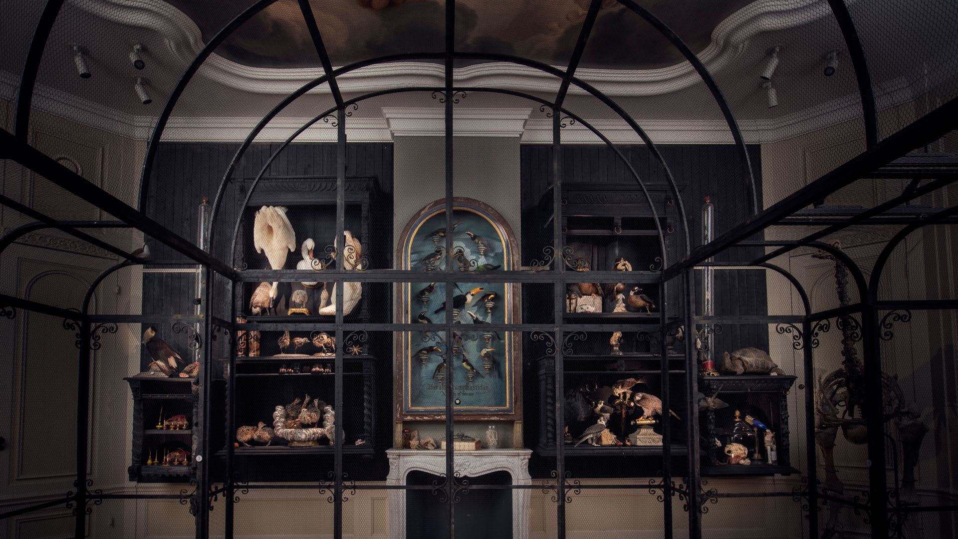 Art Zoo Museum