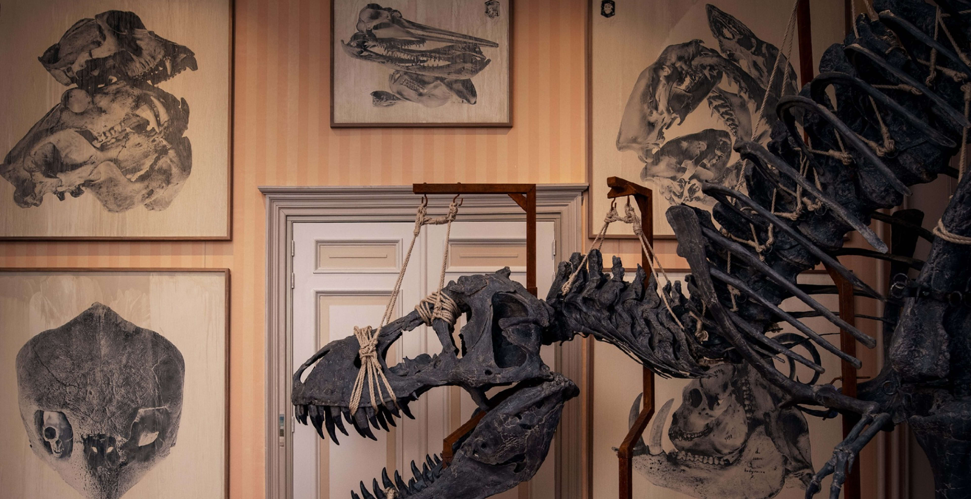 Art Zoo Museum