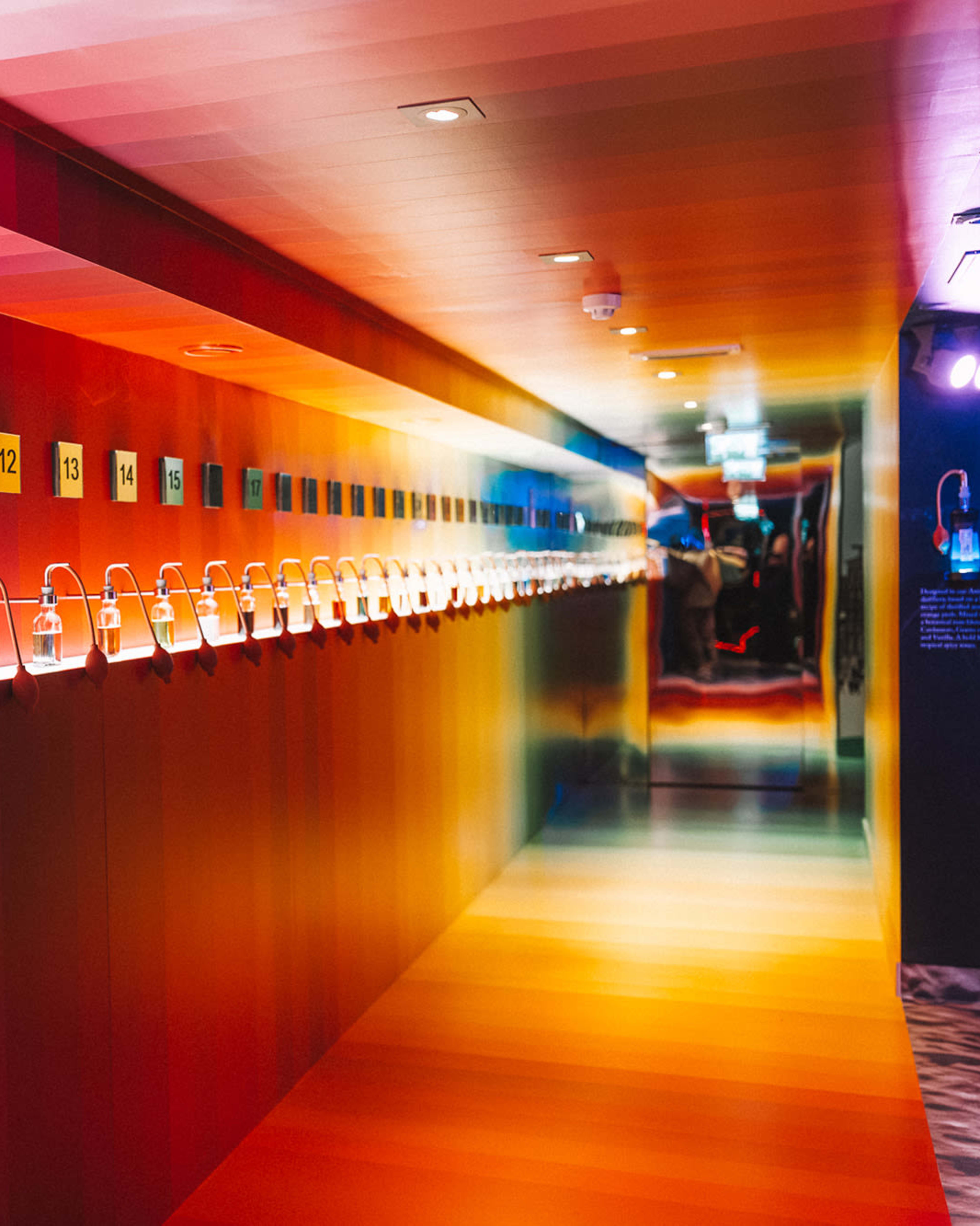 Bols Cocktail Experience