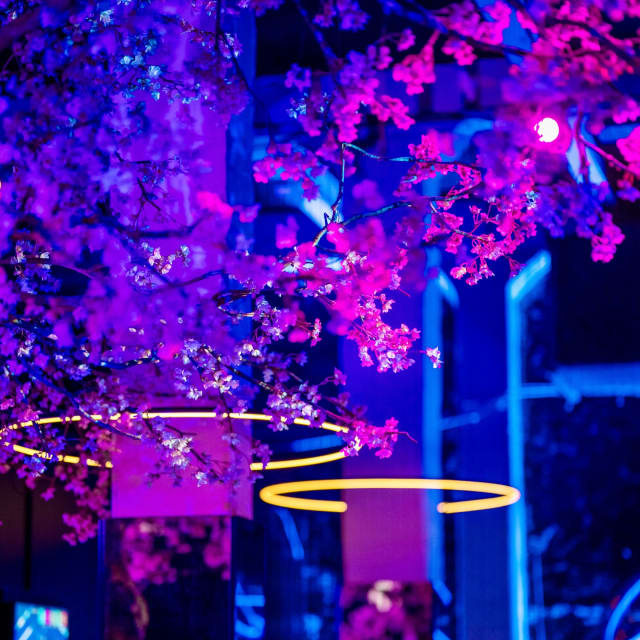 combitiq/amaze/gallery/yoegsv6sd4ku7jfib76j