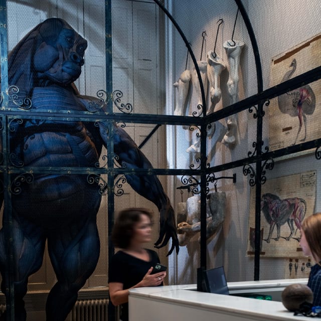 combitiq/art-zoo-museum/gallery/ahyxz31ib3sewqx3z6we