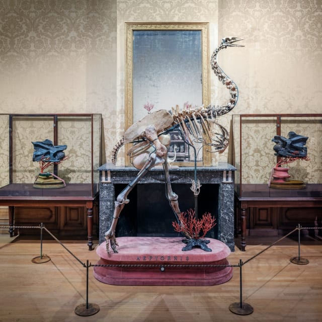 combitiq/art-zoo-museum/gallery/bw8hvtayolcuyuvikfox