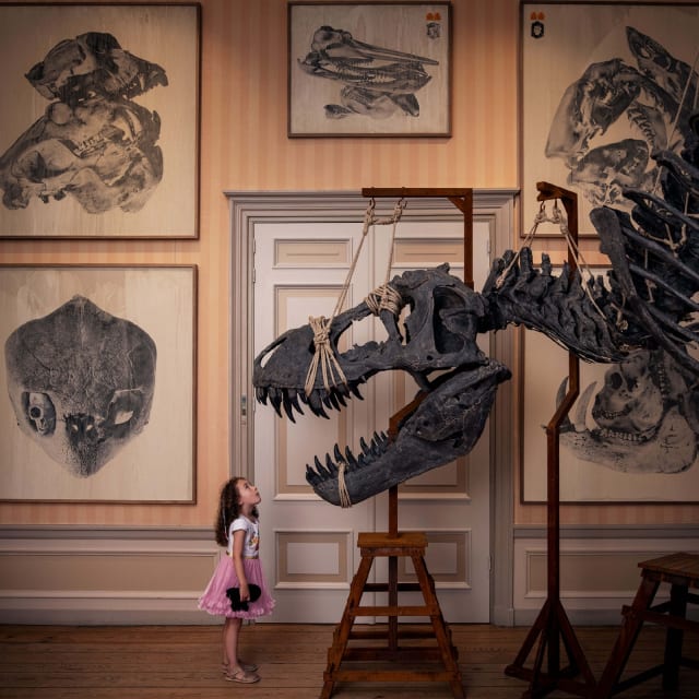 combitiq/art-zoo-museum/gallery/lviqfa4n3t31rsljbst2