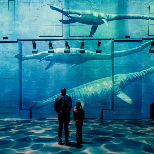 combitiq/belgian-beer-world/gallery/mvgzclggh0vuli6ftycm