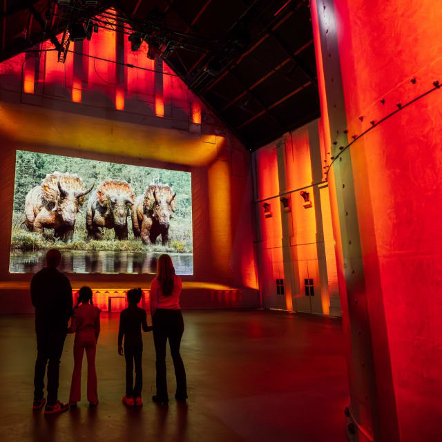 combitiq/belgian-beer-world/gallery/v1ranan9jdpuhkaaxrmw