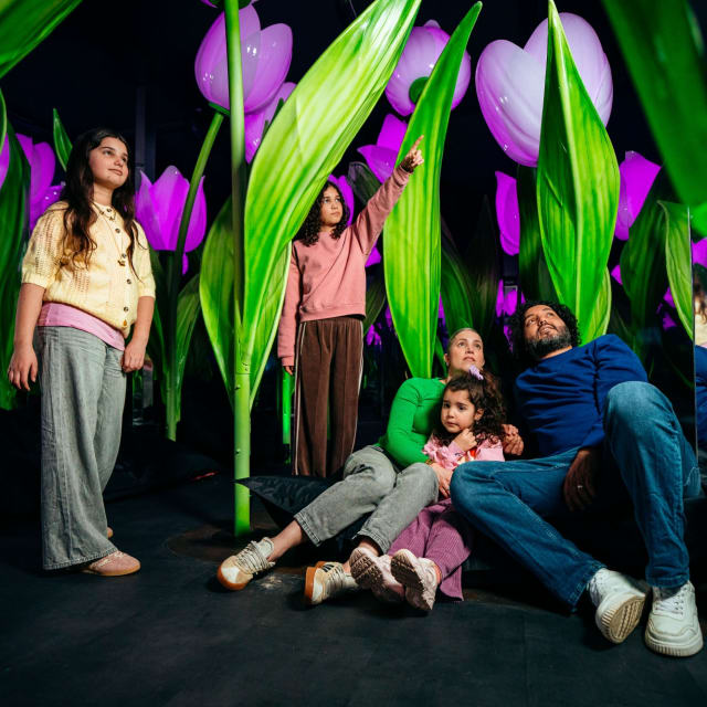 combitiq/highlights-of-holland/gallery/khq5k1lrm2uf6kwmrgun