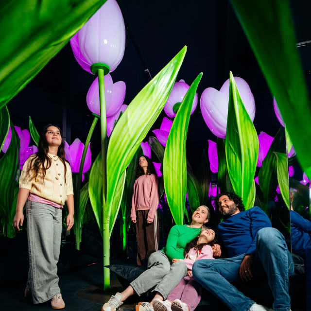 combitiq/highlights-of-holland/gallery/lsgv27hnmrx8jjt6aft2