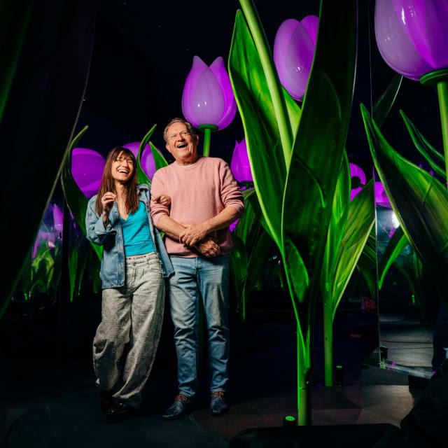 combitiq/highlights-of-holland/gallery/rm2iefsfl6v0szxjf0le