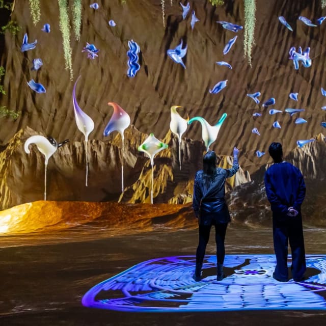 combitiq/nxt-museum/gallery/oljaduzlen3gdgniqpf4