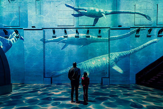 Monet & Prehistorische planeet: Dinosaurussen