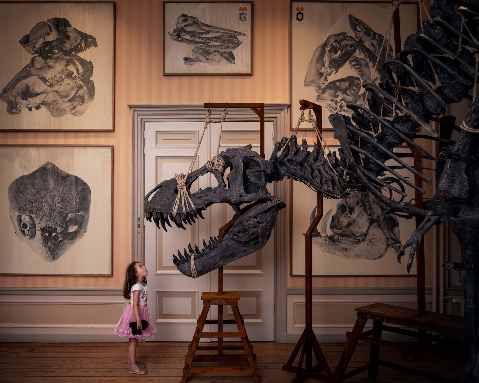 Fabrique des Lumières & Art Zoo Museum